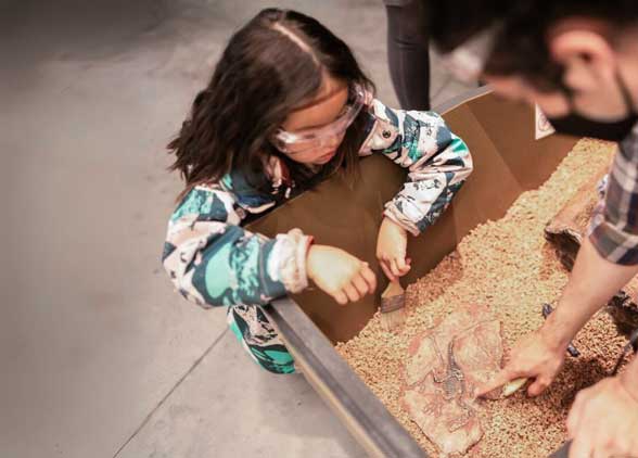 dino fest dig pit